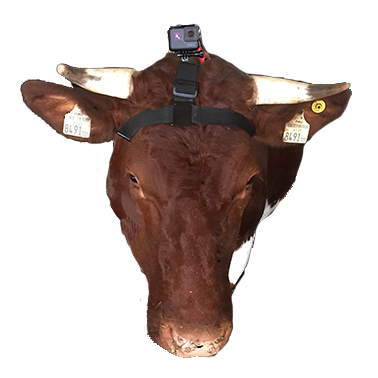 UadA_Lorena-GoPro_frei.jpg